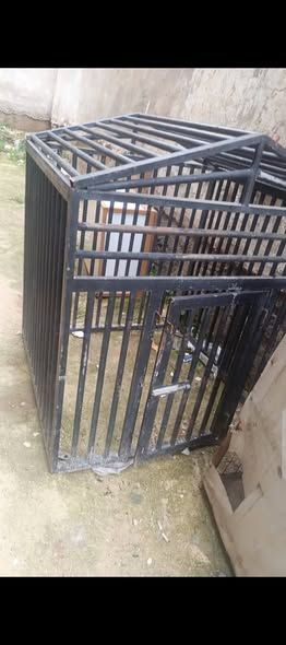 Heavy-Duty Iron Dog Cage — Sweileh, Jordan (2)