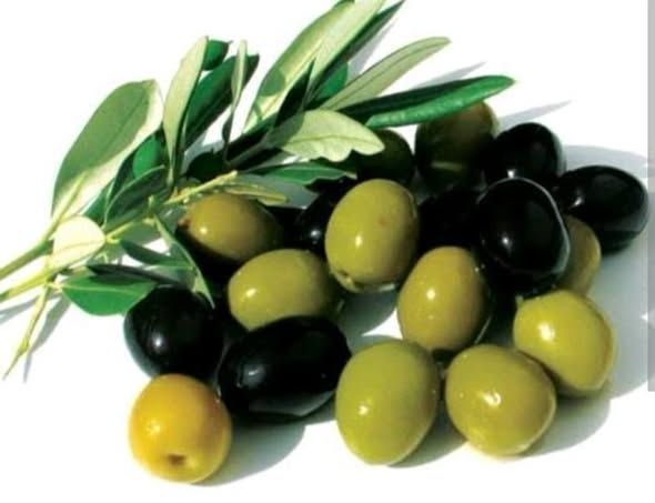 Apple & Olive Farm – 825 Dunums — Jordan (5)