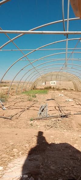40m x 9m Agricultural Plastic Greenhouse Tunnel