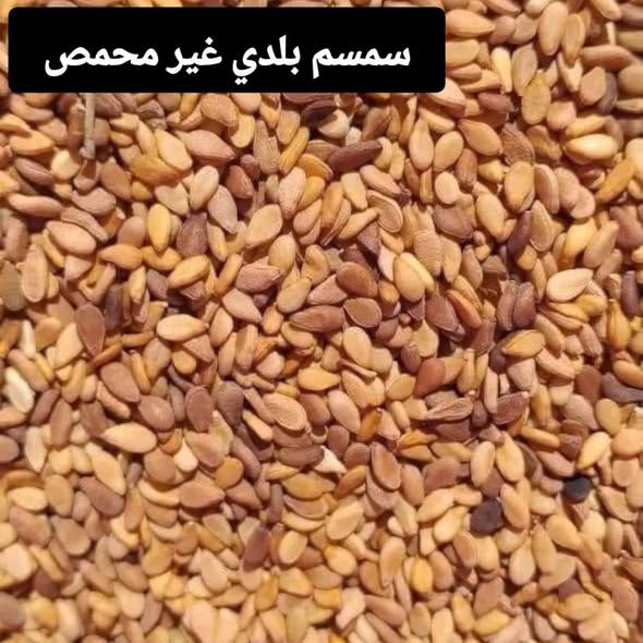 زعتر ورق بلدي — إربد, الأردن (2)