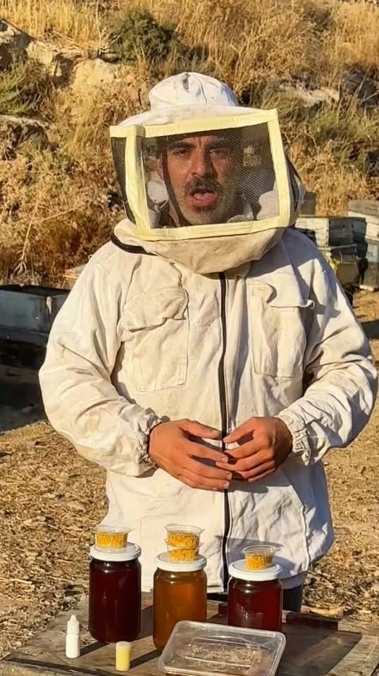 عسل بلدي طبيعي
