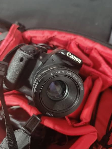 كانون 650D مع عدستين 50mm و70-300mm — الأردن (2)