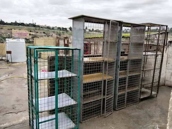 Heavy-Duty Iron Pigeon Cages (Set of 4) — Amman, Jordan (4)