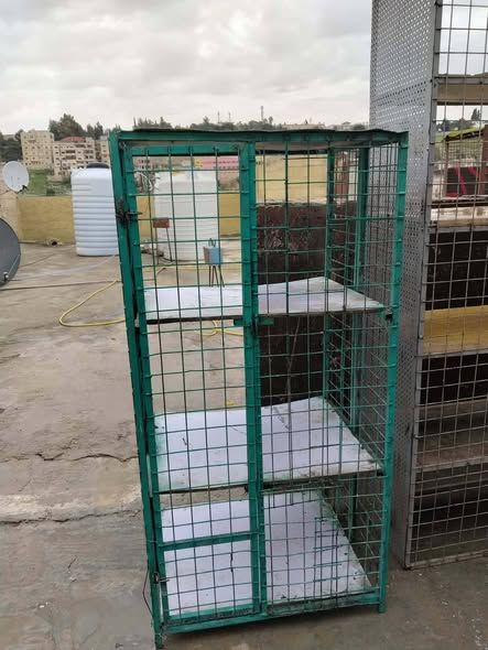 Heavy-Duty Iron Pigeon Cages (Set of 4) — Amman, Jordan (5)