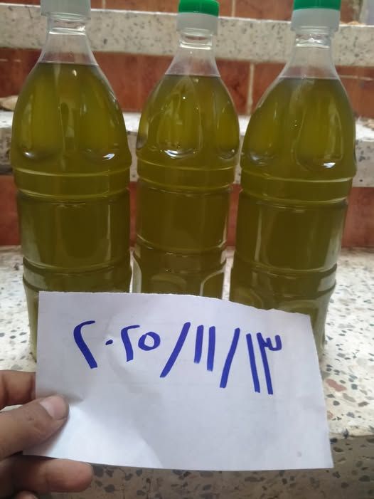 زيت زيتون موسم هذا العام