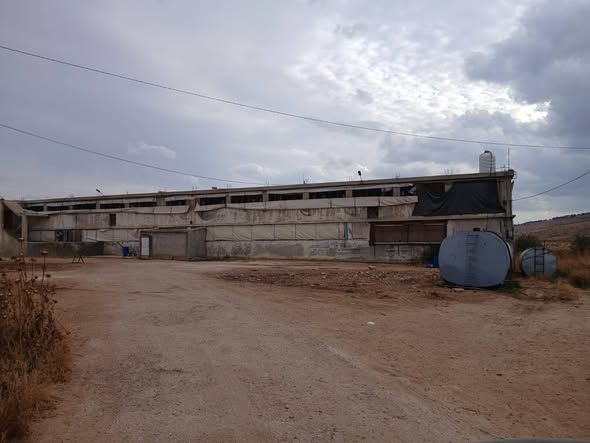 مزرعة دواجن مرخصة تتسع لـ 25000 طير على أرض 10 دونمات — الزرقاء، الأردن (3)