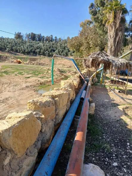مزرعة 150 دونم شرق القنية — جرش، الأردن (3)