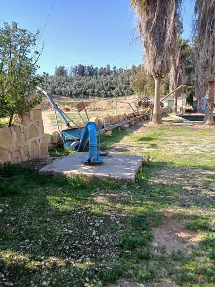 مزرعة 150 دونم شرق القنية — جرش، الأردن (4)