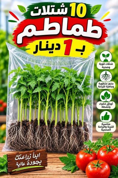 تشكيلة شتلات خضار وأعشاب وزينة للمنزل والحدائق