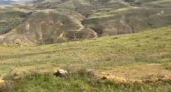 أرض 5 دونمات غرب جرش — جرش، الأردن (2)