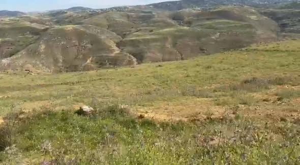 أرض 5 دونمات غرب جرش — جرش، الأردن (4)