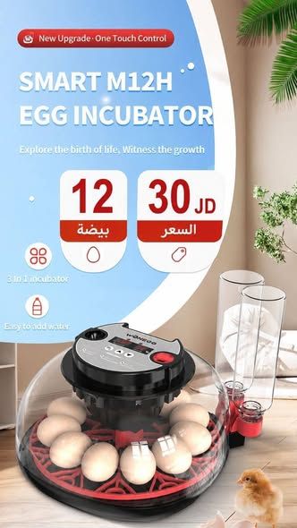 فقاسة بيض PTO الإيطالية أوتوماتيك