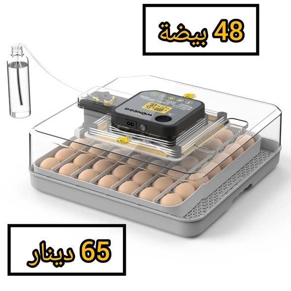 فقاسة بيض PTO الإيطالية أوتوماتيك — إربد، الأردن (4)