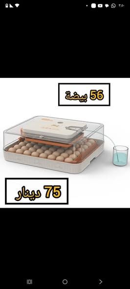 فقاسة بيض PTO الإيطالية أوتوماتيك — إربد، الأردن (5)