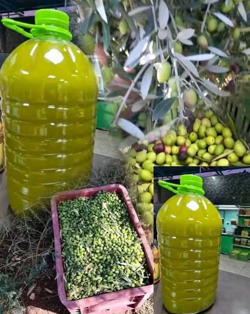 زيت زيتون جبلي معصور على البارد 100%