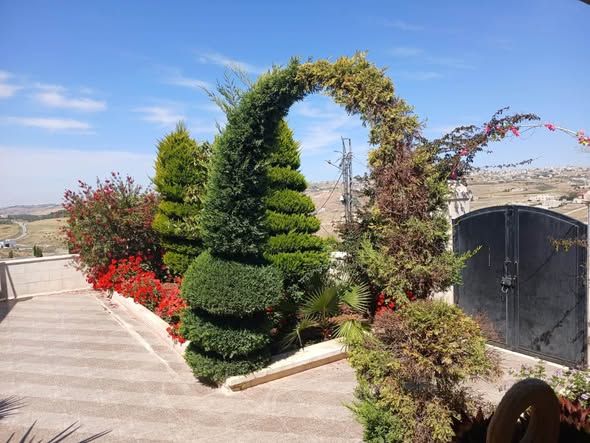 Investment Villa with 5 Independent Units - Al-Sarw, Salt — As-Salt, Jordan (5)