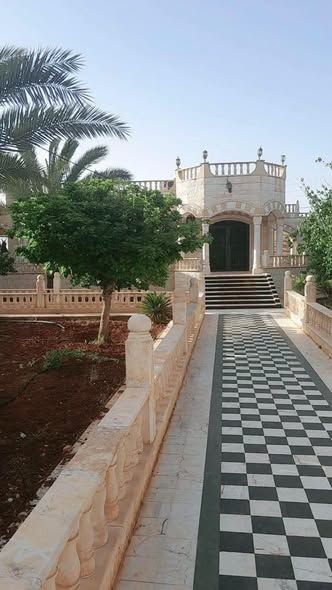 مزرعة مثمرة 190 دونم مع 3 فلل في المفرق — المفرق، الأردن (2)