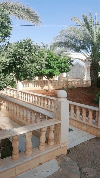 مزرعة مثمرة 190 دونم مع 3 فلل في المفرق — المفرق، الأردن (3)
